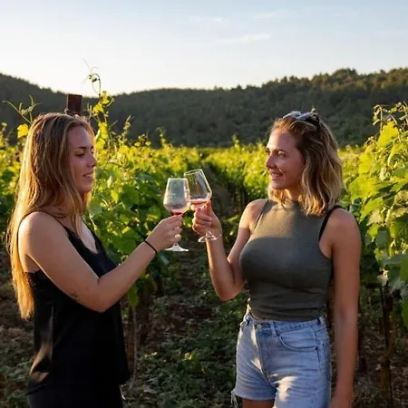 Djoni 2 By Guide Appartement Blato (Korcula)