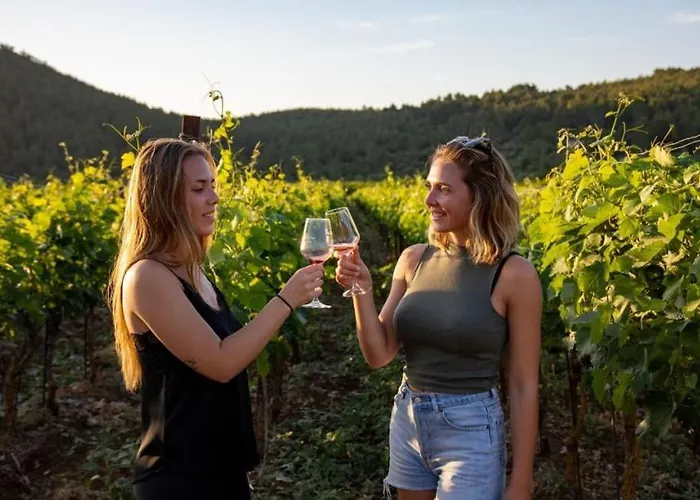 Djoni 2 By Guide 公寓 Blato (Korcula)